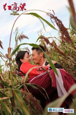 在线观看红高粱,烽火岁月里的爱情与抗争